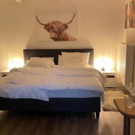 Apartmán Oase Im Gruenen Hinterhof, Eg, Ruhe, Terrasse, Carport, Free Paytv, Kaffee&tee, Fahrraeder