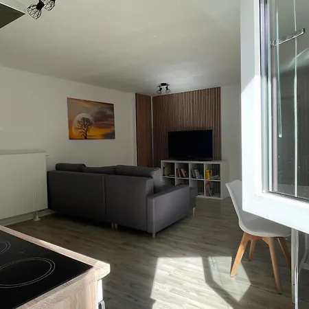 Apartment Oase Im Grünen Hinterhof, Eg, Ruhe, Terrasse, Carport, Free Paytv, Kaffee&tee, Fahrräder