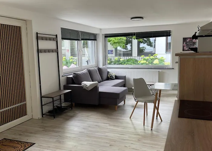 Oase Im Gruenen Hinterhof, Eg, Ruhe, Terrasse, Carport, Free Paytv, Kaffee&tee, Fahrraeder Апартаменты *